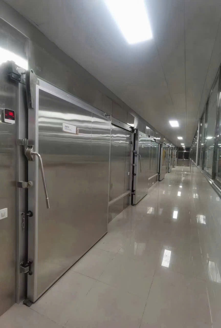 HOẠT ĐỘNG ỔN ĐỊNH